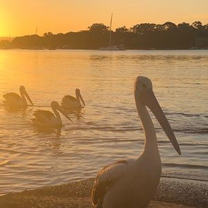 Meet your Posher, Tanja